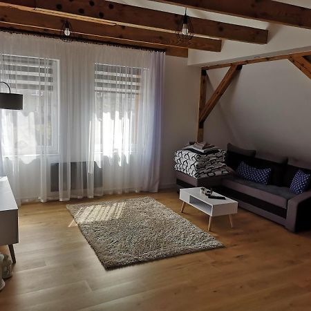 Apartament Attic ミエンジズドロイェ エクステリア 写真